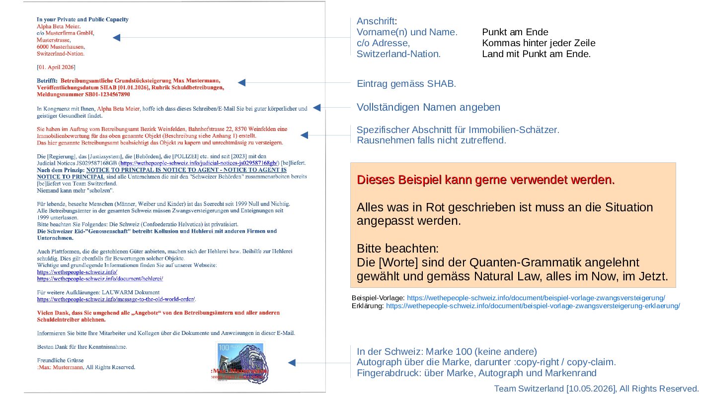 Beispiel-Vorlage Zwangsversteigerung - Erklärung